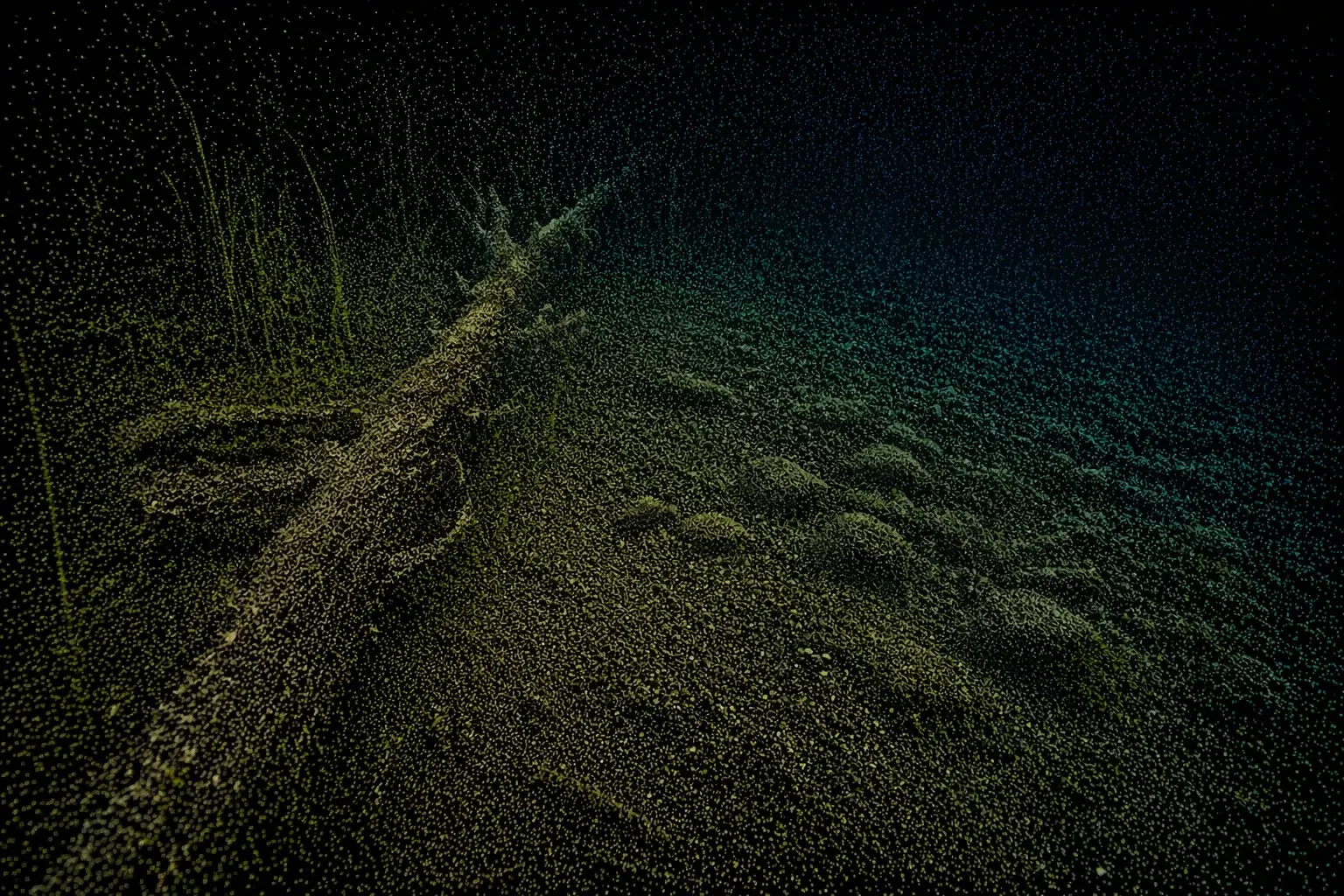 Sonar point cloud representing the same underwater structure