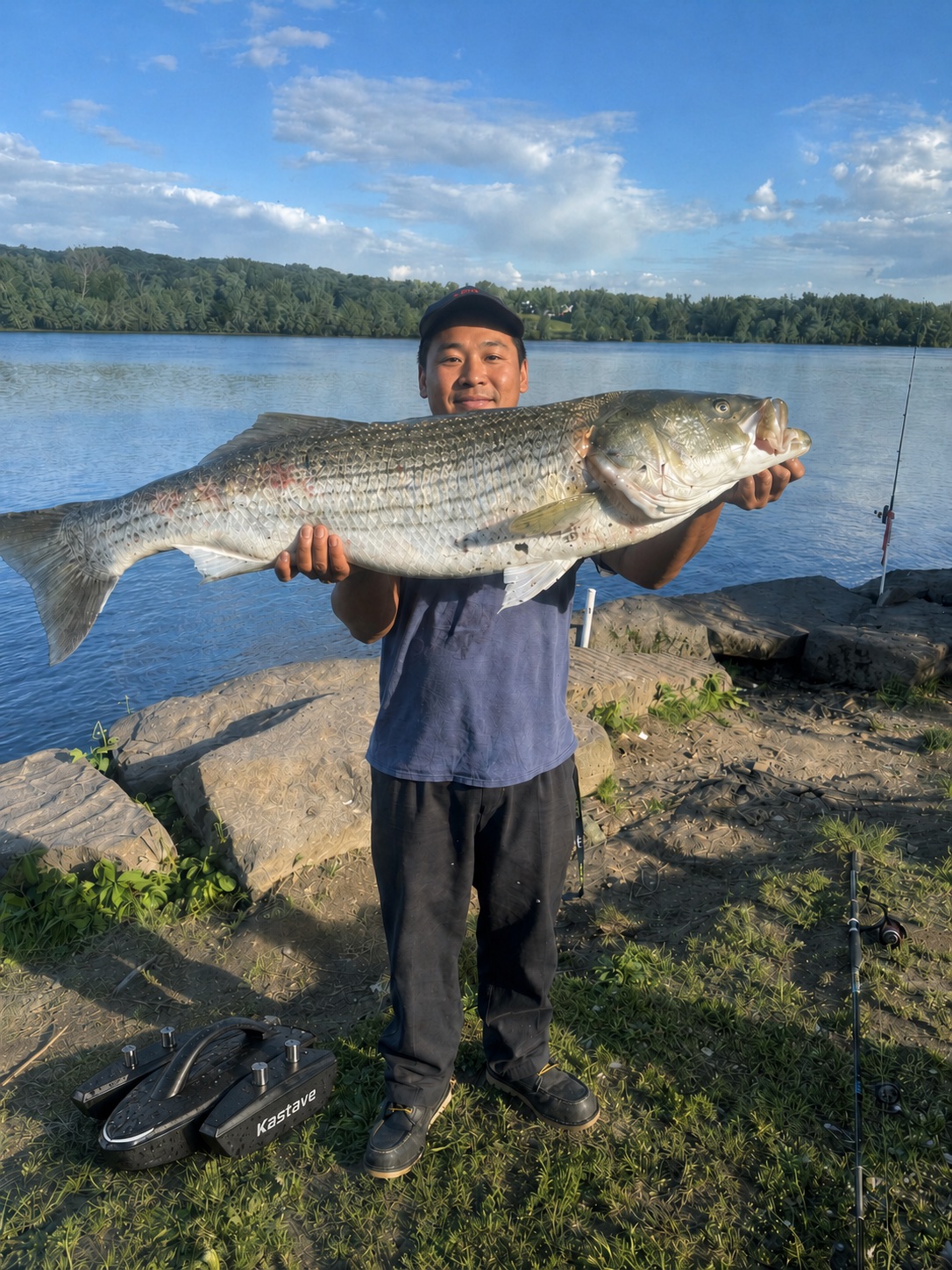 Early tester holding a large striped bass near shore