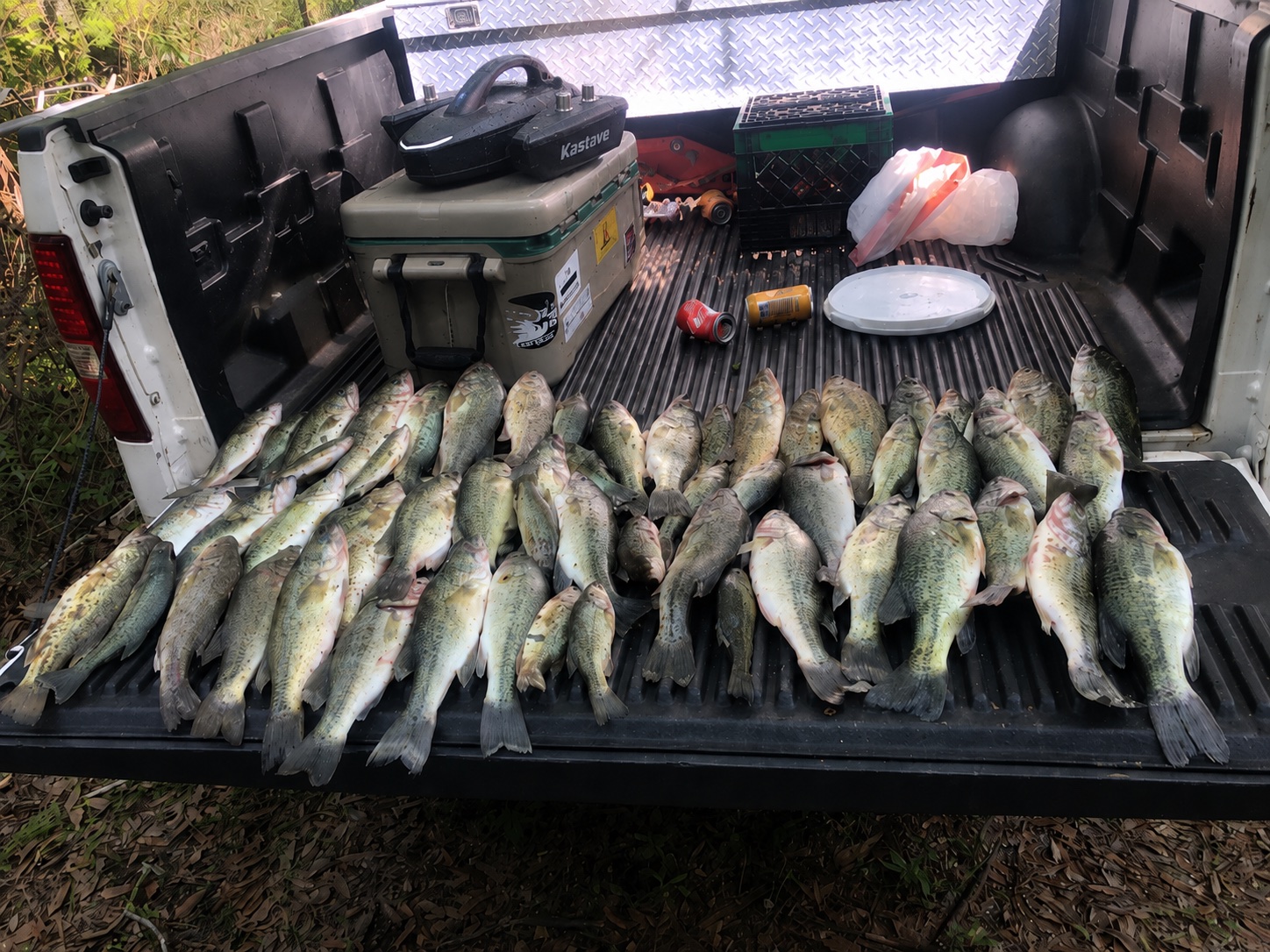 Truck bed full of fish with Kastave placed near fishing gear